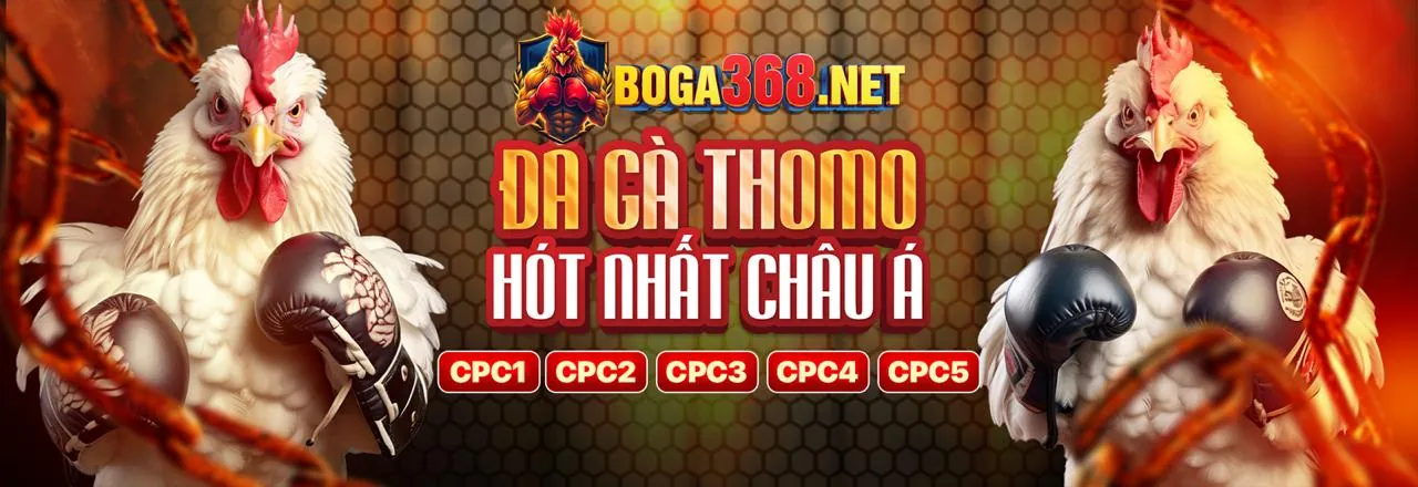Biểu ngữ kêu gọi hành động Nohu28